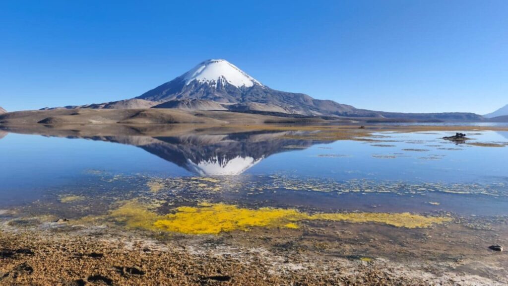 lago chungará naturaleza conaf