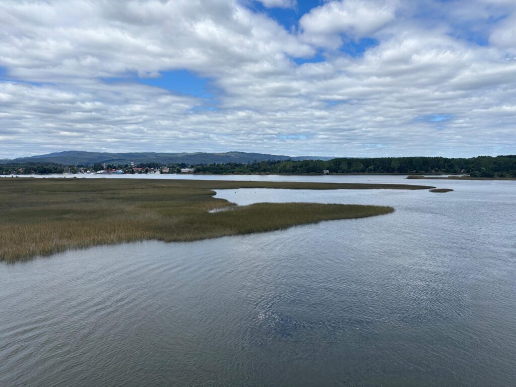 río cruces valdivia